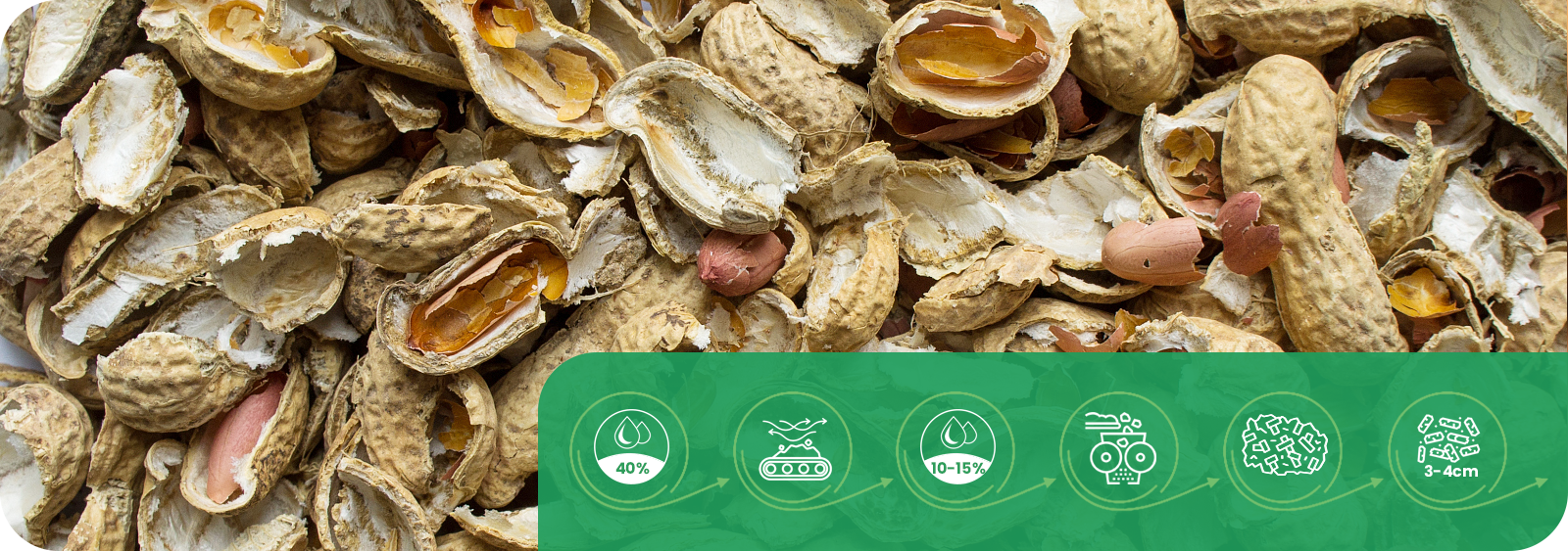 Peanut Shell