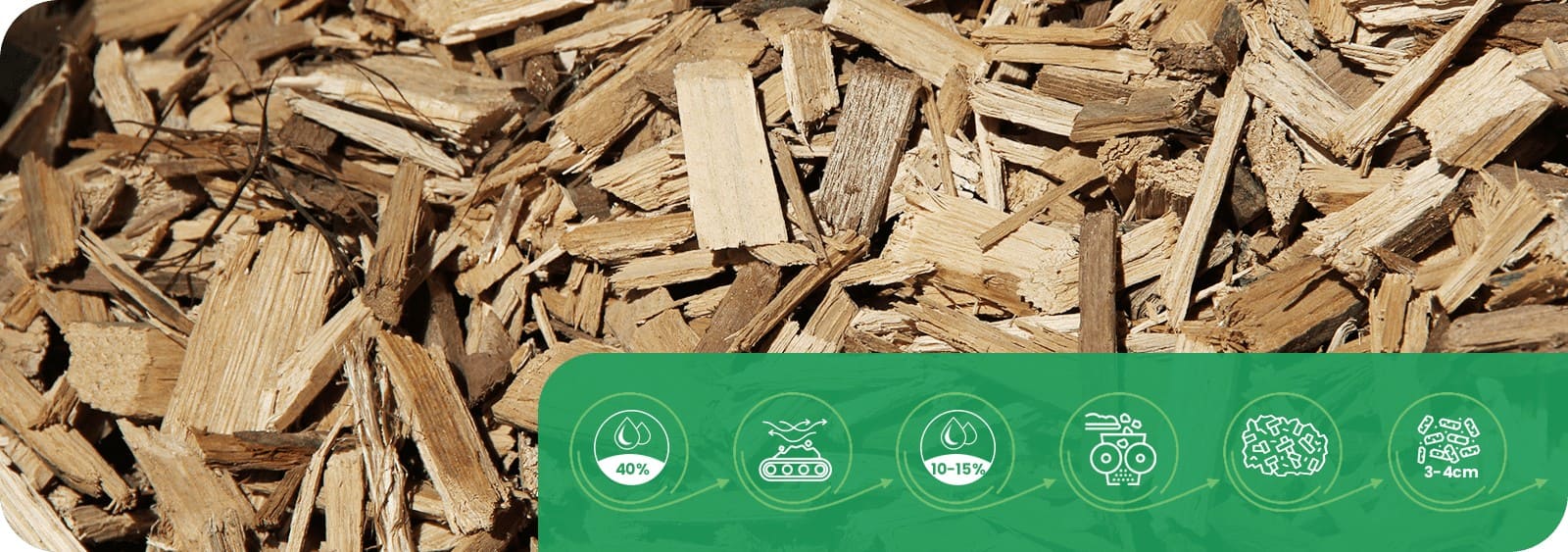 Wood Chip