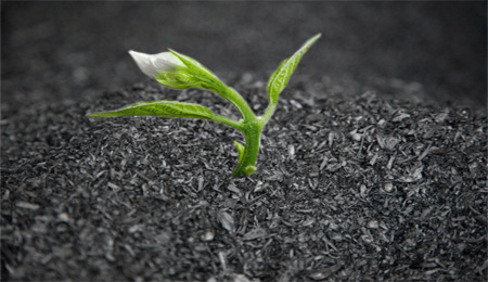 biochar, biochar quality, biochar machine, biochar production unit, biochar for soil, biomass pyrolysis, biochar equipment.