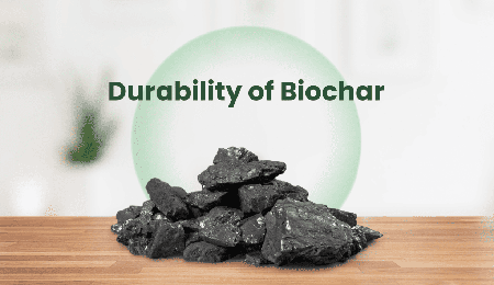 Haiqi, approved by Puro Earth, biochar making machine, biomass pyrolysis plant, biochar production equipment, biochar for carbon removal, biochar machine for sale