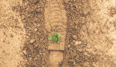 Haiqi, Puro earth, biomass pyrolysis plant, biomass pyrolysis equipment, biochar production equipment, biochar making machine, pyrolysis plant manufacturer, biochar machine for sale, industrial-scale biochar production