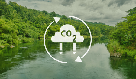 Haiqi, biochar production, biochar machine, biomass pyrolysis plant, biochar for carbon removal, sustainability forestry