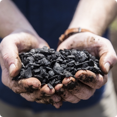 Biochar