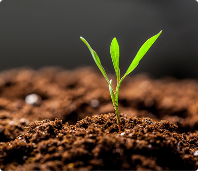Soil Additives